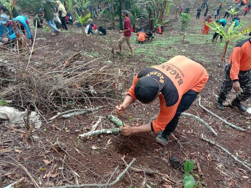 PENGURUS CABANG NU KABUPATEN MOJOKERTO TANAM POHON 2 SORBANSANTRI.COM