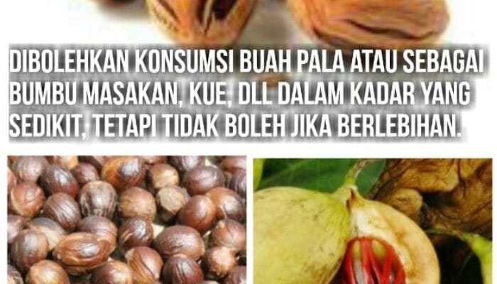 SORBANSANTRI.COM