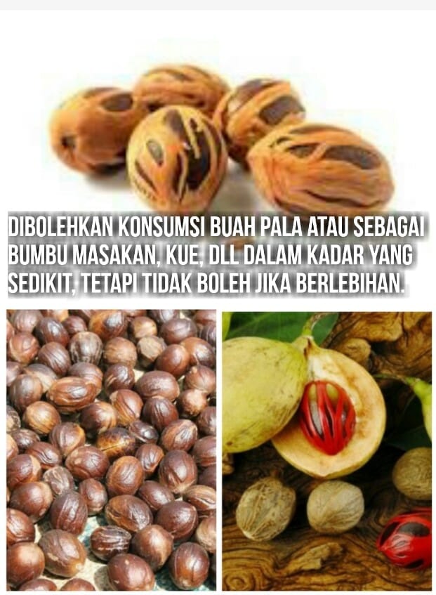 SORBANSANTRI.COM