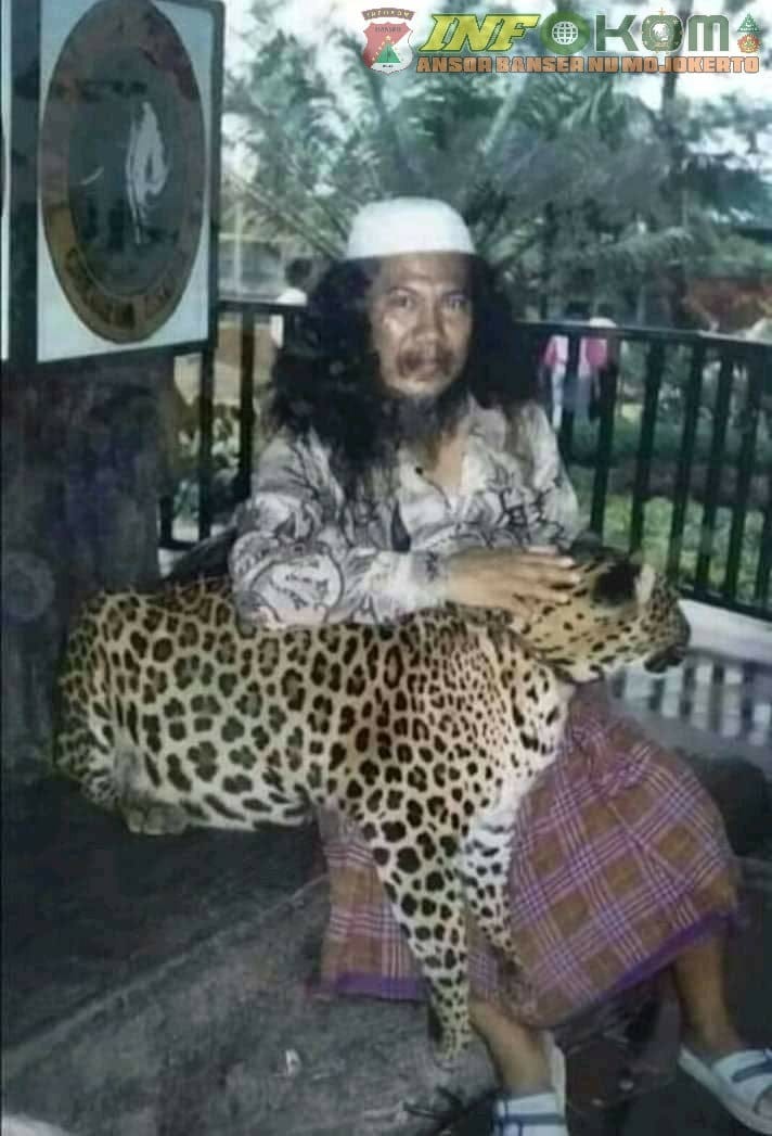 SORBANSANTRI.COM