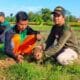 Penanaman Pohon Dan Penyemprotan Disinfektan PEMERINTAH DESA SAMBIROTO Bekerjasama Dengan GP ANSOR Dan NU Ranting Sambiroto 4 SORBANSANTRI.COM