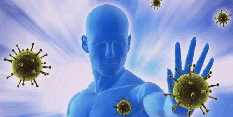 SORBANSANTRI.COM