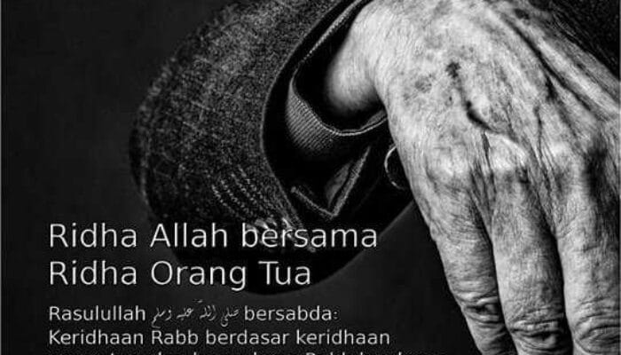 HUKUM BERBAKTI PADA KEDUA ORANG TUA YANG NON MUSLIM 1 SORBANSANTRI.COM
