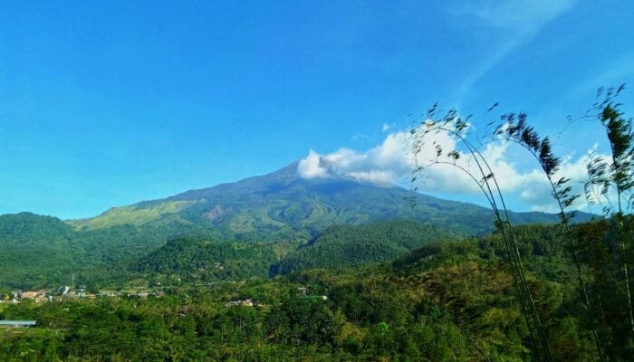 Waspada Bencana, Ini Tips Agar Terhindar dari Bahaya Alam di Kawasan Pacet Mojokerto 1 green mountain under blue sky